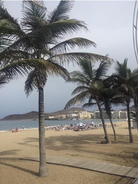 Las Canteras Beach Las Palmas de Gran Canaria Eksteriør bilde