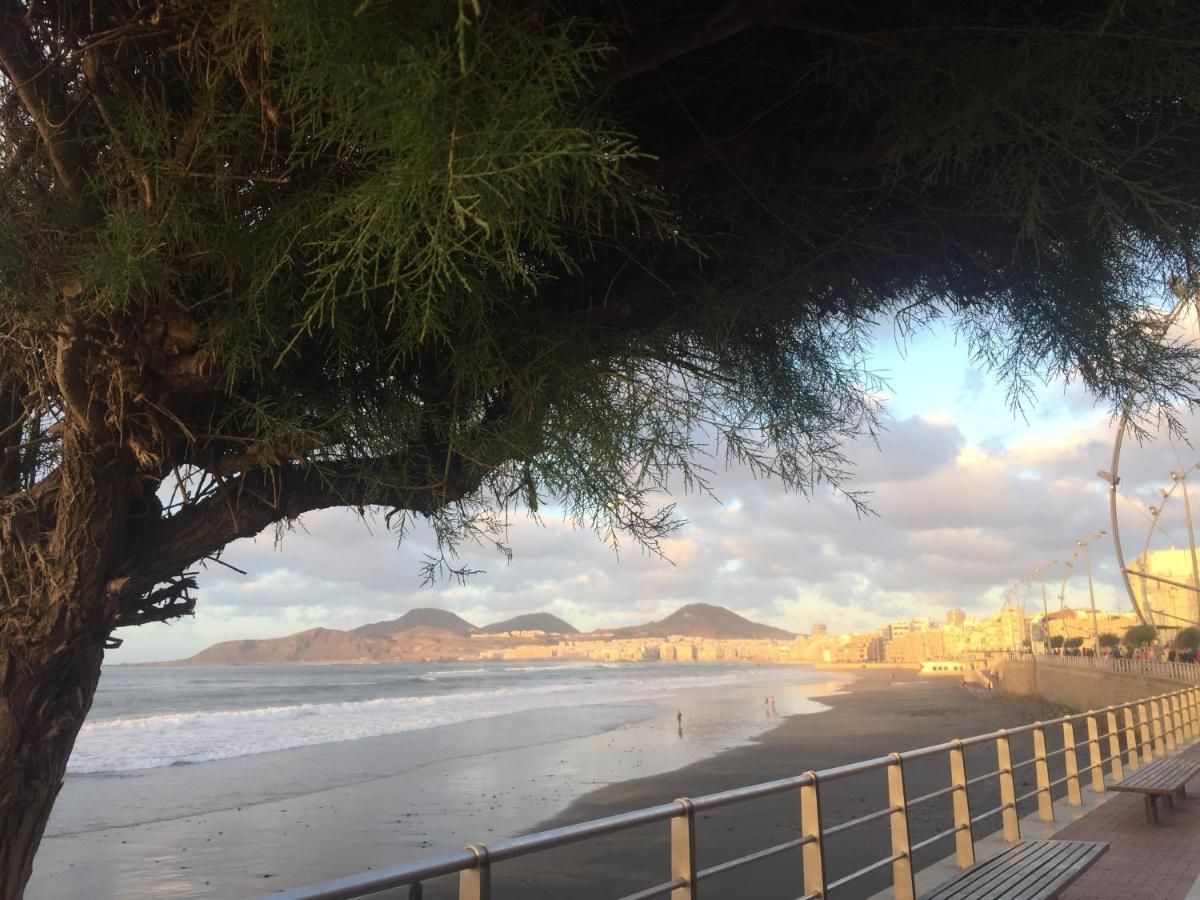 Las Canteras Beach Las Palmas de Gran Canaria Eksteriør bilde